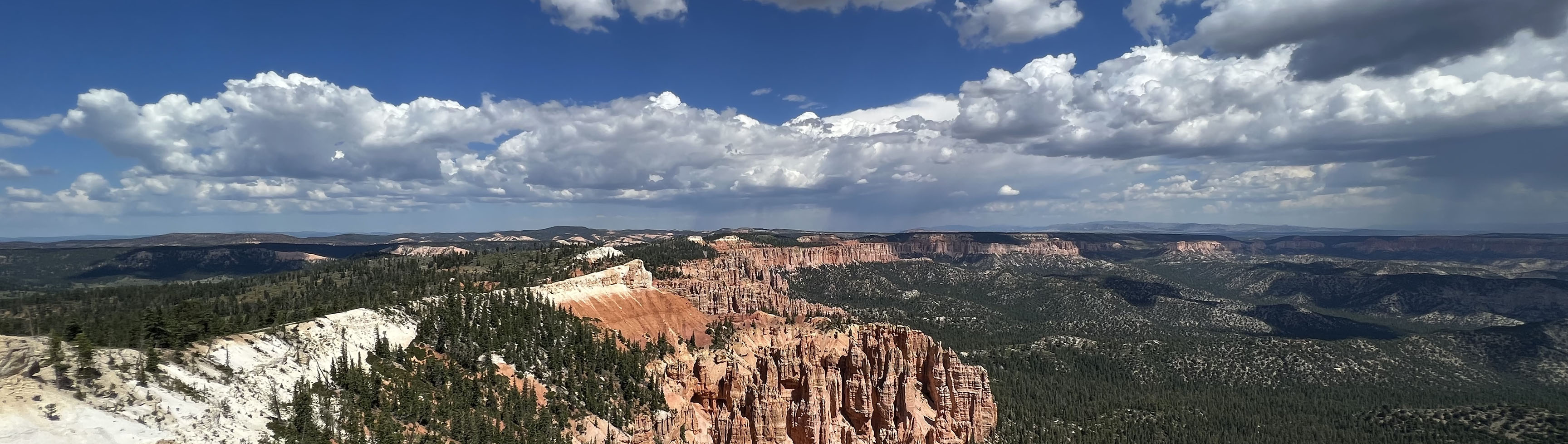 Canyons and trees with a cloudy sky